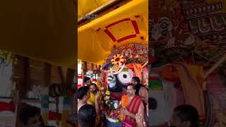 Jagannatha arati darshan . ରଥ ଉପରେ ଜଗନ୍ନାଥଙ୍କ ଆଳତୀ 🪔 #viral #jagannatha #puri #rathyatra #trending