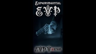 Experimental EVP Voices: Murderous Intentions