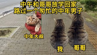 第1集 | 当我智商天赋被拉满...#catmemes #cat #catlover #小说 #故事 #短剧 #story #悬疑 #推文 #一口气看完 #复仇 #爽文 #已完结 #情感 #玄幻