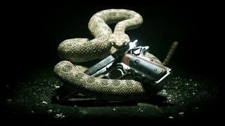 Hitman: Absolution Benchmark - Notebookcheck