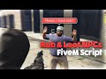 Rob/Loot NPCs FiveM Script [QBCore/QBox/ESX]