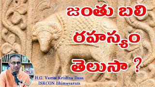 జంతు బలి రహస్యం తెలుసా ? Secret of Animal Sacrifice