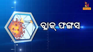 Healthline: ବ୍ଲାକ ଫଙ୍ଗସ୍ କଣ | NandighoshaTV