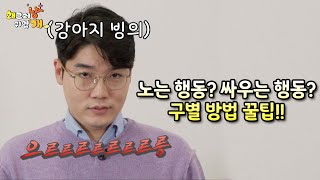 🍯 세나개 꿀팁 🍯 _ 노는 행동?? 싸우는 행동?? 구별 방법 꿀팁!! 알려드립니다!