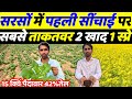 सरसों में पहली सिंचाई पर सबसे ताकतवर दो खाद एक स्प्रे | Sarso ki kheti | Sarso me pahla pani or khad