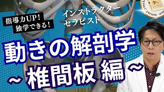 身長が縮む１番の要因は椎間板！背骨にサンドイッチされているこの組織の働きとは