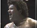 wwf boston garden february 11 1989