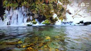 Winter Tranquility: Peaceful River \u0026 Calming Sounds | Sleep, Relax, Focus