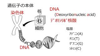 遺伝子と科学技術