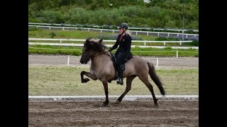 Þórhildur frá Hamarsey Landsmot 2018