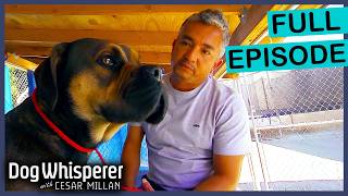 Season 4 Episode 35 | Dog Turns Deadly & Owners Lose Hope | Dog Whisperer with Cesar Millan