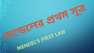 মেন্ডেলের প্রথম সূত্র Mendel's First Law