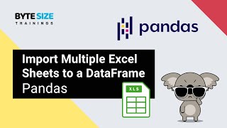 Import Multiple Excel Sheets to a Pandas DataFrame #pandas #python #jupyternotebook #excel