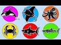 Marine Animals: Manta Ray, Megalodon, Orca, Whale Shark, Crab and Octopus.  MN037