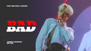 [4K] PEAK TIME SEOUL CONCERT 배너 영광  Christopher 'BAD' 믹스캠 ㅣVANNER YEONGGWANG MIX CAM