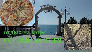 Отдых на Азовском море в Юрьевке ( нашли огромную змею )