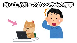 飼い主が知っておくべき犬の雑学#犬#雑学