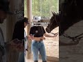 cavalo memesvaqueiros cavalos vaquera piadas vaquerama humormemes vaqueiro humor