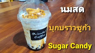 นมสดบุกบราวชูก้า แคนดี้(คาราเมลกรอบ) Konjac Brown sugar with sugar candy milk อร่อยมาก #เมนูต้องลอง