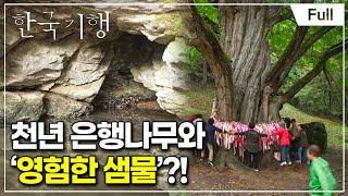 [Full] 한국기행 - 스님, 계십니까 5부 두 스님과 천년나무