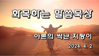 아론의 싹난 지팡이 | 박 혜성 목사