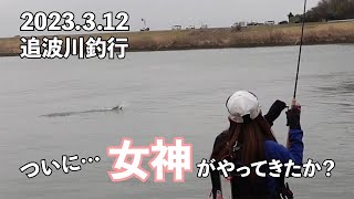 【サクラマス】カップの深いチャートカラーで！遂に女神が…