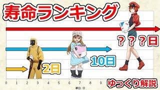 好酸球の魅力 かわいいツインテールの意味とは 考察も交えて説明するぜ ゆっくりアニメ解説