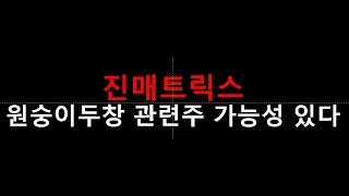 진단키트 관련주 진매트릭스 간단 분석