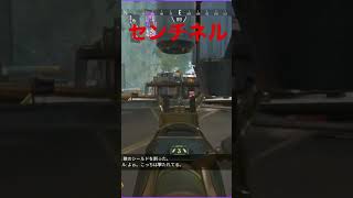 センチネル【APEX】