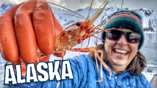 FISHING for SHRIMP in ALASKA | LIFE on the BOAT