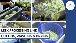 Leek Processing Line | Cutting, Washing \u0026 Drying Leek