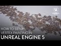 How To Setup Vertex Painting In Unreal Engine 5