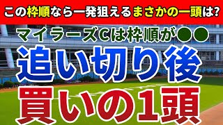 マイラーズカップ2023 追い切り後【買いの1頭】公開！開幕週の馬場考察から穴馬を絞り込む！実力馬が外枠に収まり波乱必至！？