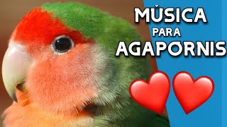 🐦Relaxing MUSIC AGAPORNIS🐦2021 - 🎵Music for PARROTS and small BIRDS🎵