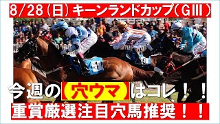 競馬予想【キーンランドカップ2022】札幌芝1200ｍを攻略！！好走必須データから穴馬を考察！！