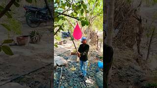 મમ્મી જો ફુગ્ગો ફોડુ 🎈| Mom see Ballons Blast #short #video