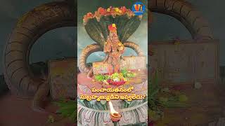 దీపం, నీరాజనం లేకుండా పూజ చేయగలరా? #chaganti #subramanya #short #deepam #aarti #fire #trend #murugan