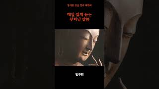 방자한 것을 멀리 피하라 | 부처님 말씀 | 석가모니 명언 | 부처님 인생조언 | 불교 | 매일 듣는 부처님 말씀 #부처님말씀 #삶의지혜 #석가모니말씀 #석가모니인생조언