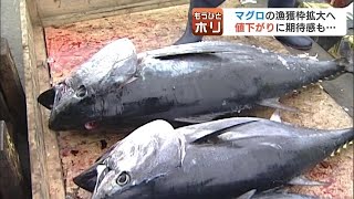 クロマグロ漁獲枠拡大へ　値下がりに期待も、一本釣り漁師は「1人分の枠が少なすぎる」と嘆き　北海道