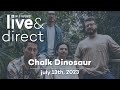 WYEP Live & Direct Session with Chalk Dinosaur