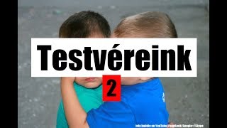 Kik A Testvéreink? 2.Rész