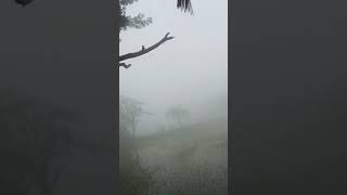 :- There is a lot of fog in the morning.ভোরে অনেক কুয়াশা কুয়াশার জন্য কিছুই দেখা যাচ্ছে না। #kgf