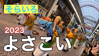 2023高知よさこい祭り【そらいろ】　帯屋町演舞場