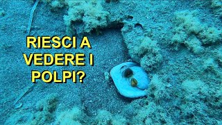 SFIDA 🐙 Riesci a vedere i polpi? 🔍 👀 parte 3