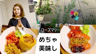 モロッコの料理、美味しくて簡単に作れる (in Japanese)