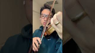 Violin cover 天气渐冷 注意保暖 按时吃饭 记得开心 #小提琴 #小提琴滤镜 #神仙bgm #Strictlyviolin荀博