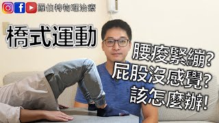 橋式運動做完腰痛緊繃、沒有屁股的感覺該怎麼辦？#椎間盤突出 #下背痛｜羅伯特物理治療