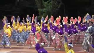 原宿表参道元氣祭スーパーよさこい2015　ほにや