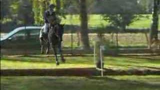 EQUITATION cheval  cross**