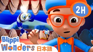 ブリッピーのさめのはひみつ| ブリッピーワンダーズ | 子供向け動画 | 人気アニメ